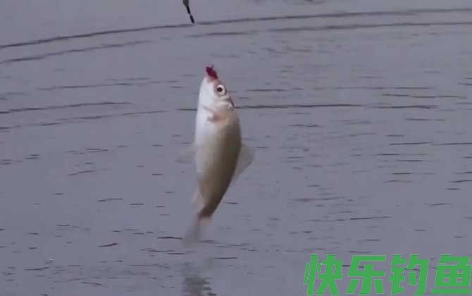 冬季钓鱼