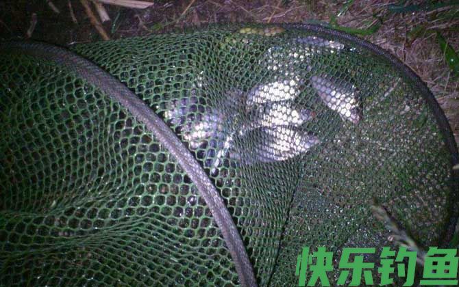 晚上钓鱼