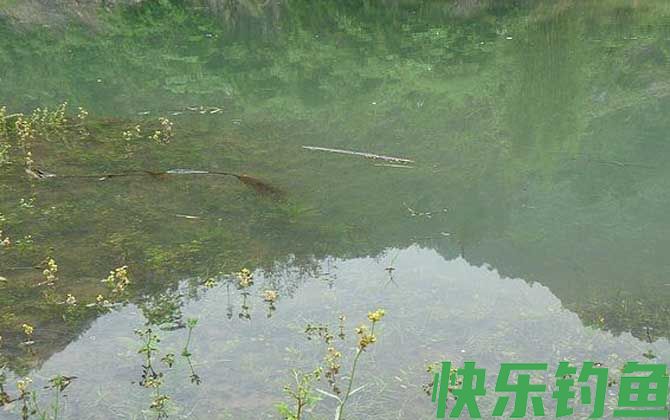 漂讯