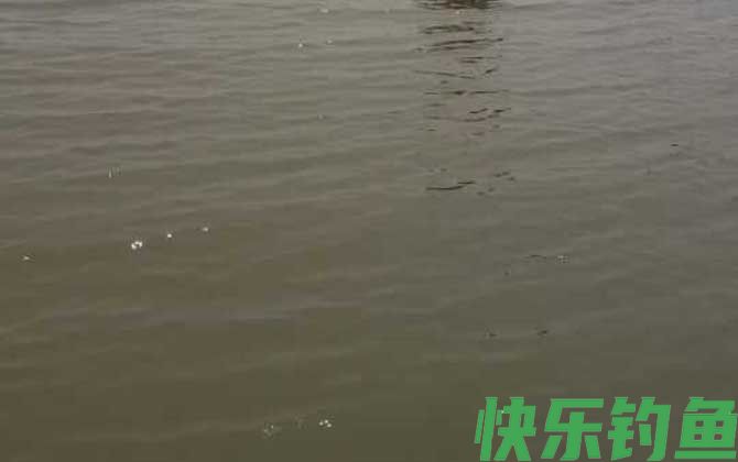 漂讯