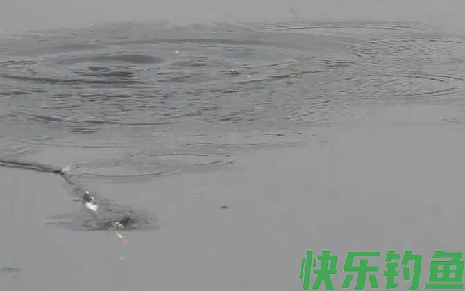 早春钓鱼