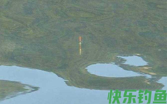 顿口