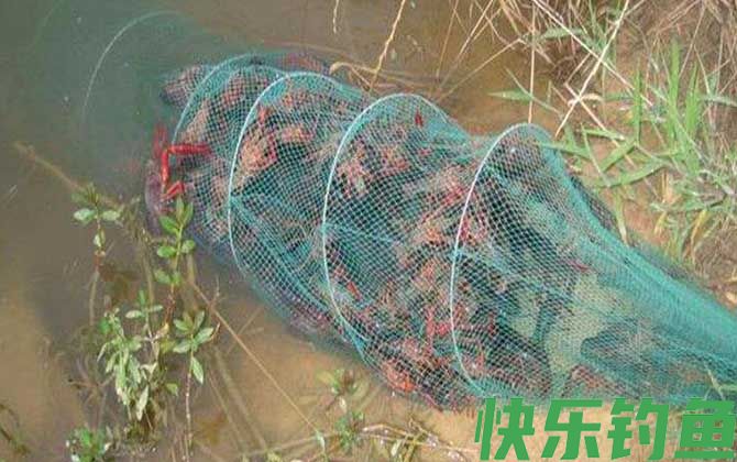 虾笼
