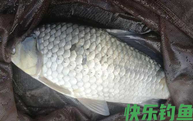 四月份钓鱼