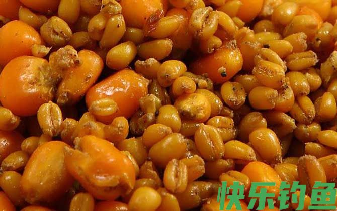 玉米钓鱼