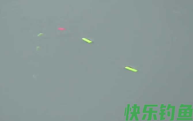 七星漂钓鱼