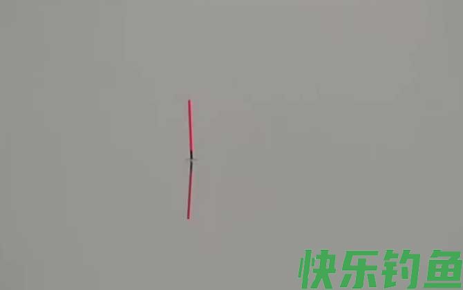 钓鱼