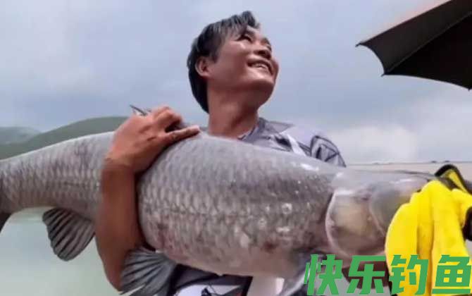 王海宁