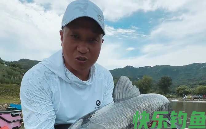 杨春