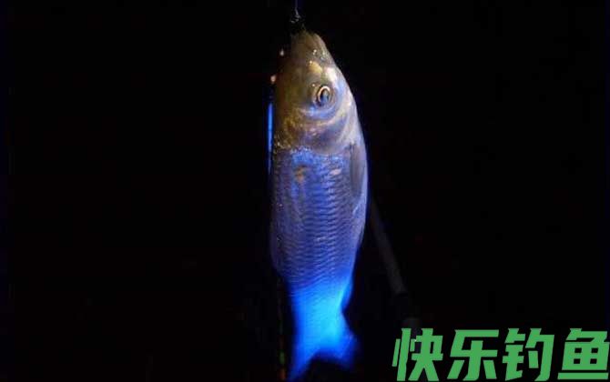 夜钓