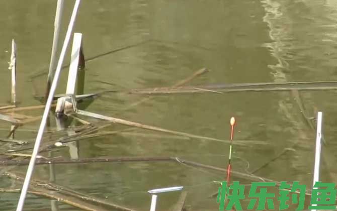 钓半水