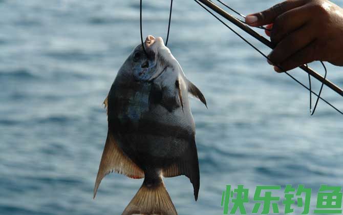 海钓