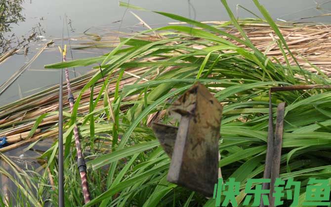 传统钓法