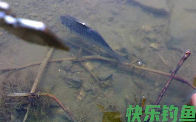 传统钓法