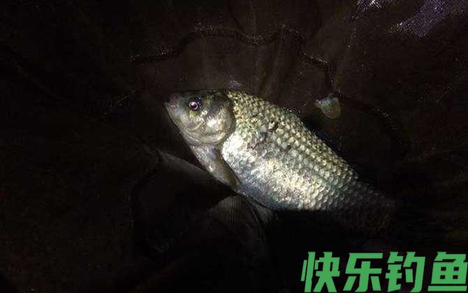 夜钓