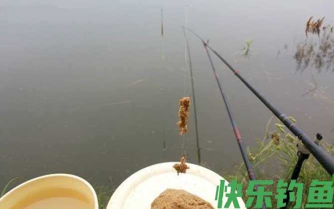 黑坑偷驴