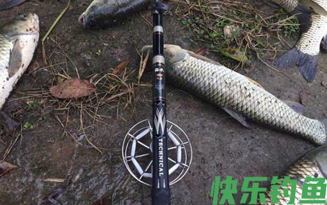 谷麦钓法