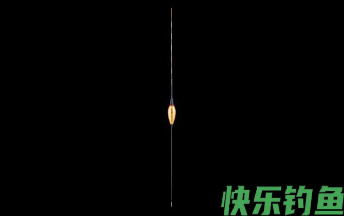 电子夜光漂