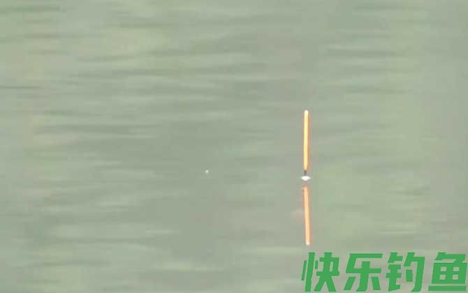 立漂
