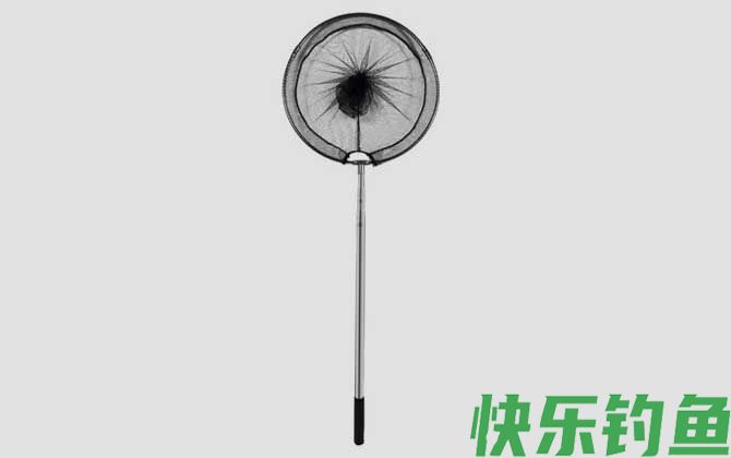 抄网