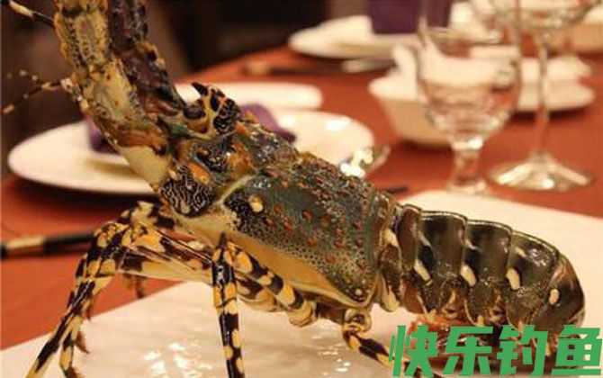 中国龙虾