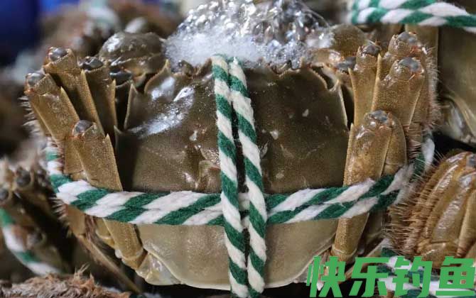 大闸蟹